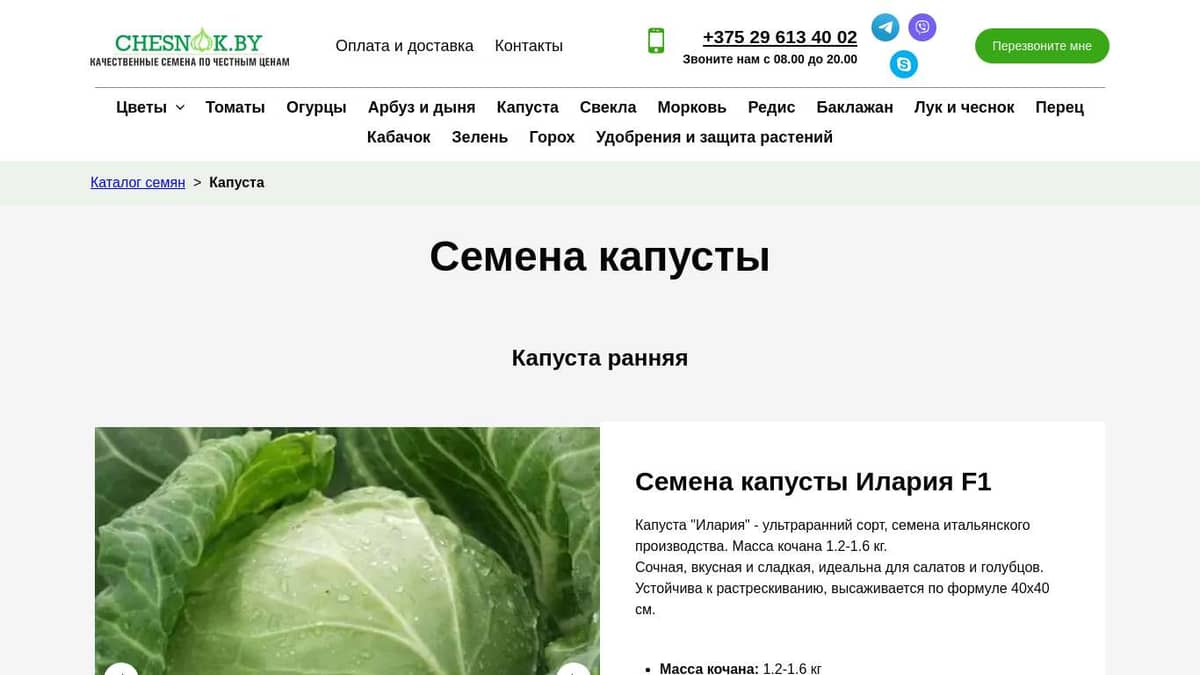 Купить семена капусты почтой в Беларуси в интернет-магазине, каталог ...