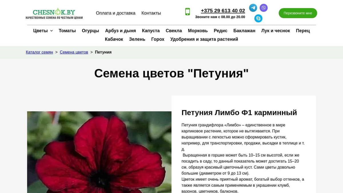 Купить семена цветов Петуния почтой в Беларуси в интернет-магазине ...
