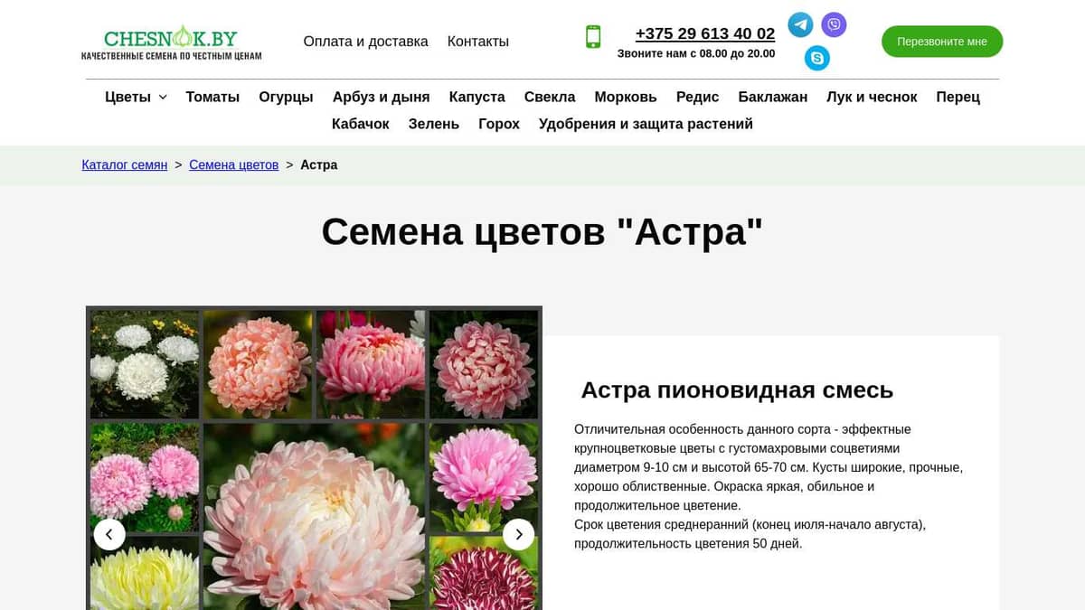 Купить семена цветов Астра почтой в Беларуси в интернет-магазине ...