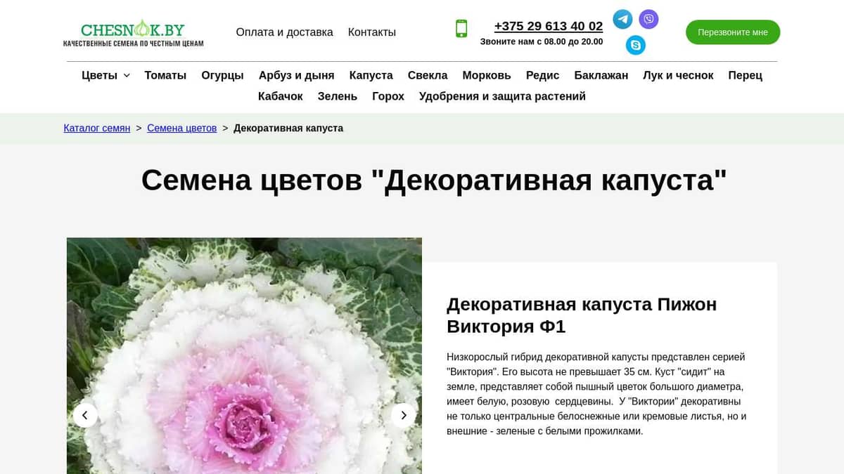 Купить семена цветов Декоративная капуста почтой в Беларуси в интернет ...