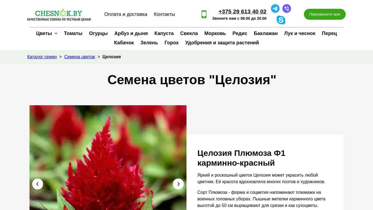 Купить семена цветов Целозия почтой в Беларуси в интернет-магазине ...