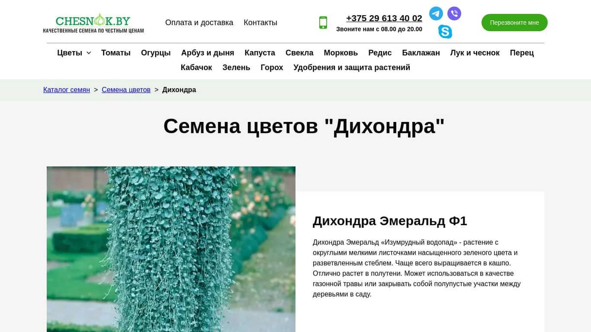 Купить семена цветов Дихондра почтой в Беларуси в интернет-магазине ...