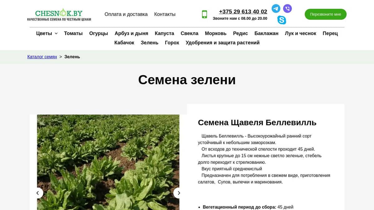 Купить семена зелени для огорода почтой в Беларуси в интернет-магазине ...